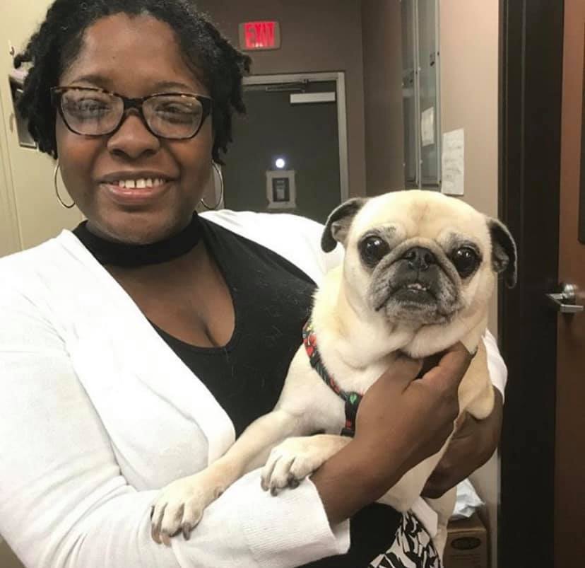 203012367 342512464117395 6494706309415607495 n