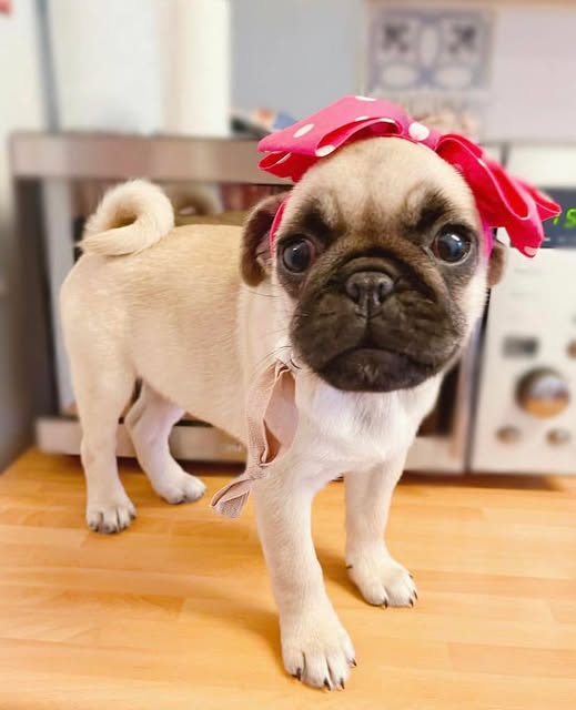 480228204 1303294277407428 67561832119301884 n