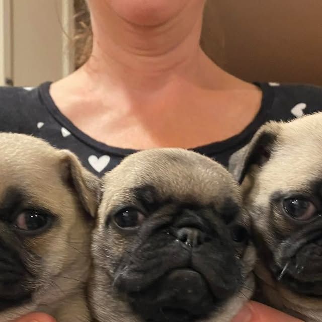 4f3694031f1c3d5077deab39b57370c0