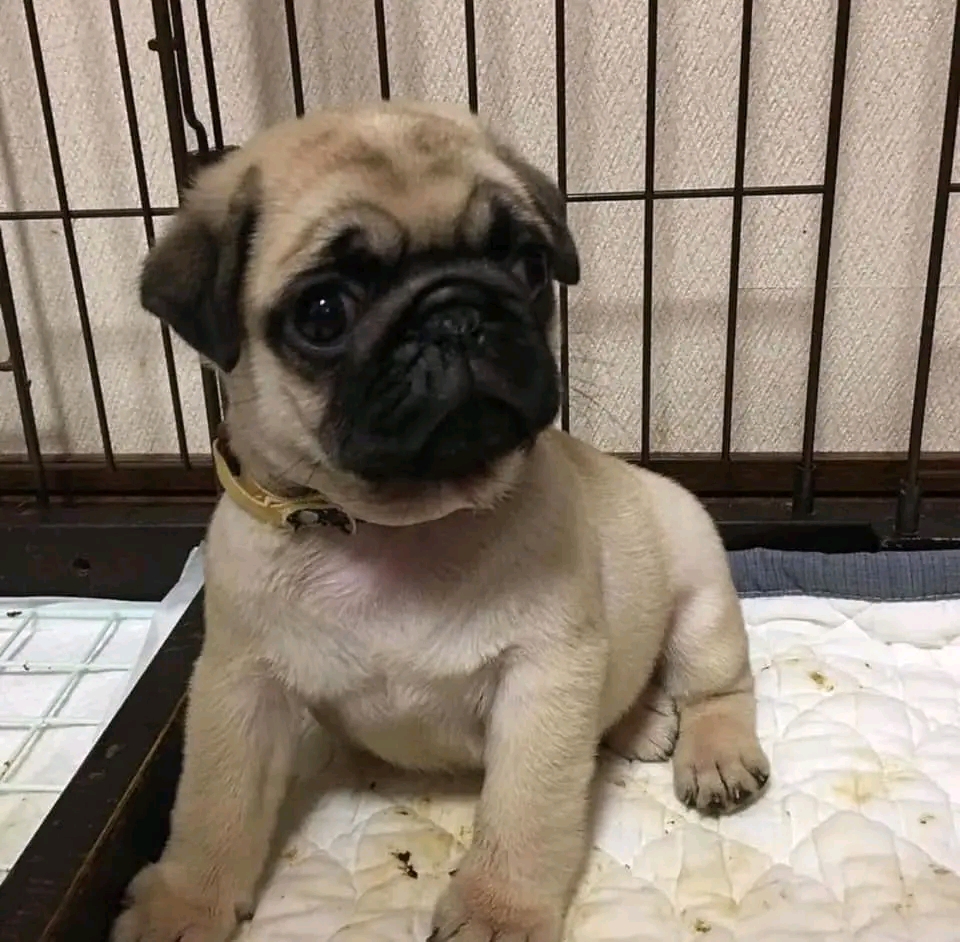 image 2025 10 04 at 18.21.00 7a673d50