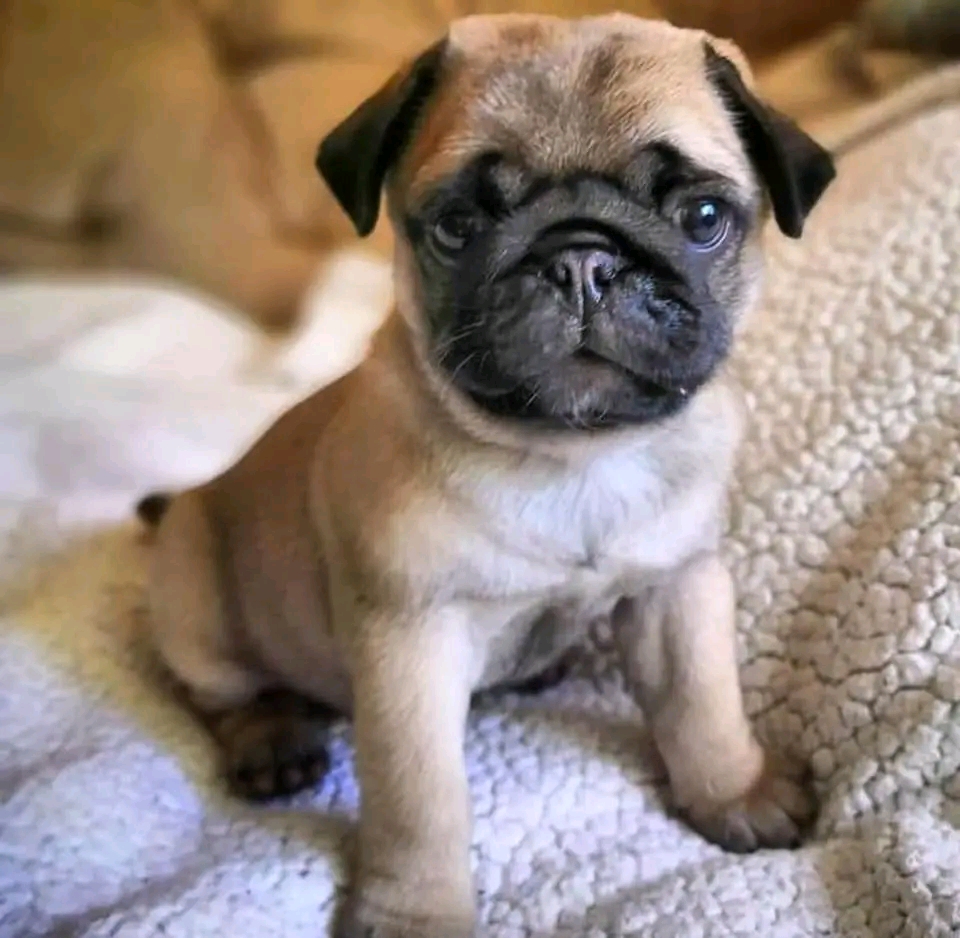 image 2025 10 04 at 18.21.05 ec418f7c