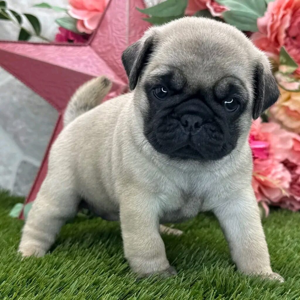 image 2025 10 04 at 18.21.14 98191595