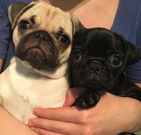 a9cd063217f8ac481876fb2c2727d954