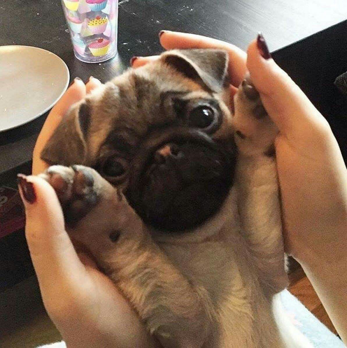 b79b27fca0fd5be6ef6e8a7cc4947e1e