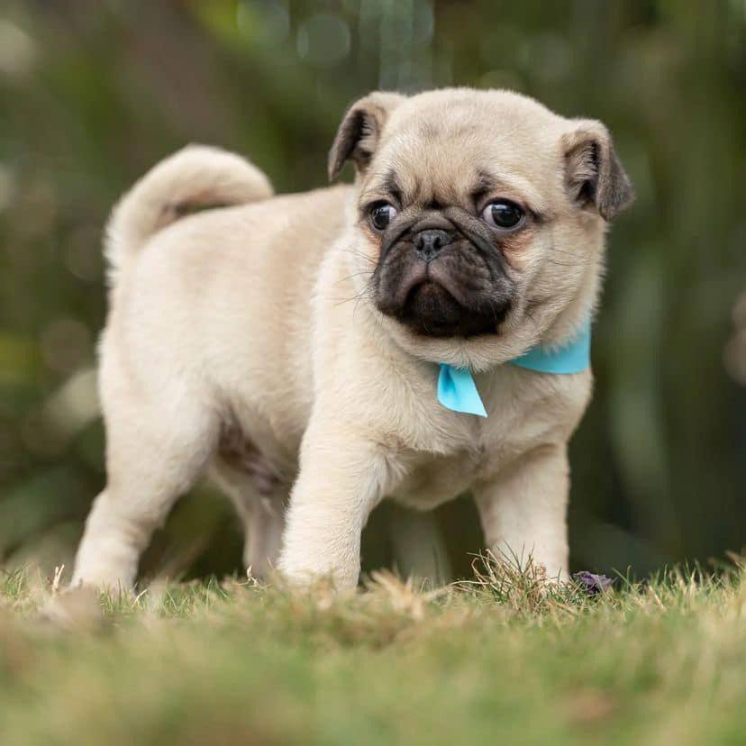 photo 2023 07 06 07 38 45