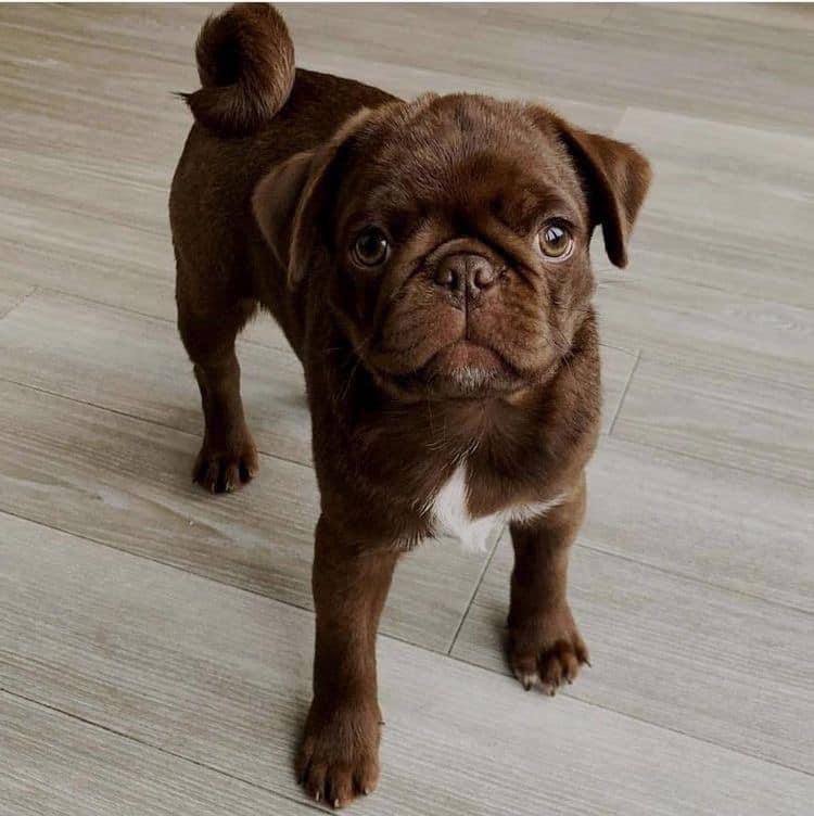 photo 2023 07 09 02 33 05