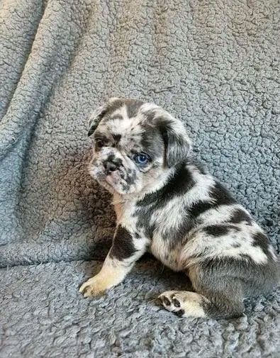 photo 2025 10 04 18 42 14