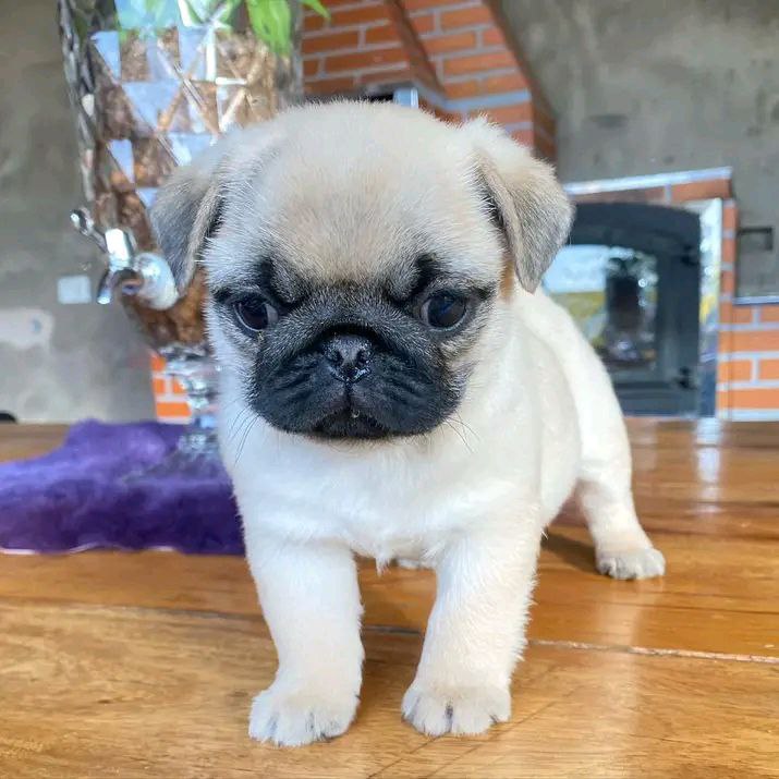 photo 2025 10 06 08 50 43