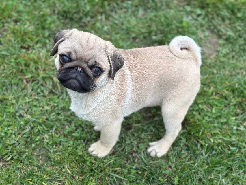 photo 2025 10 06 08 53 11