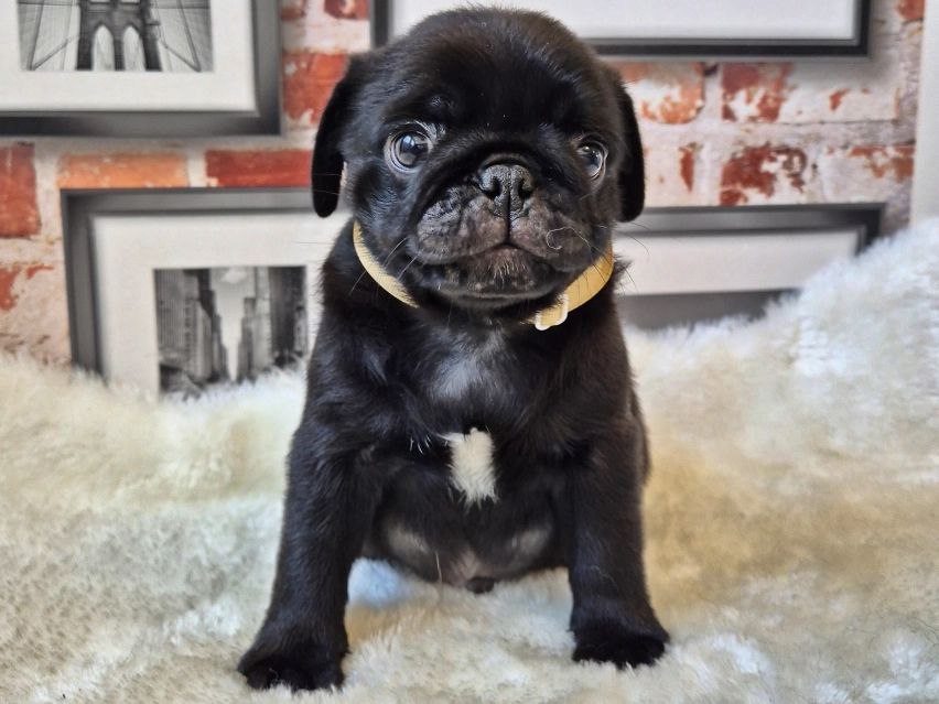 photo 2025 10 06 08 59 17