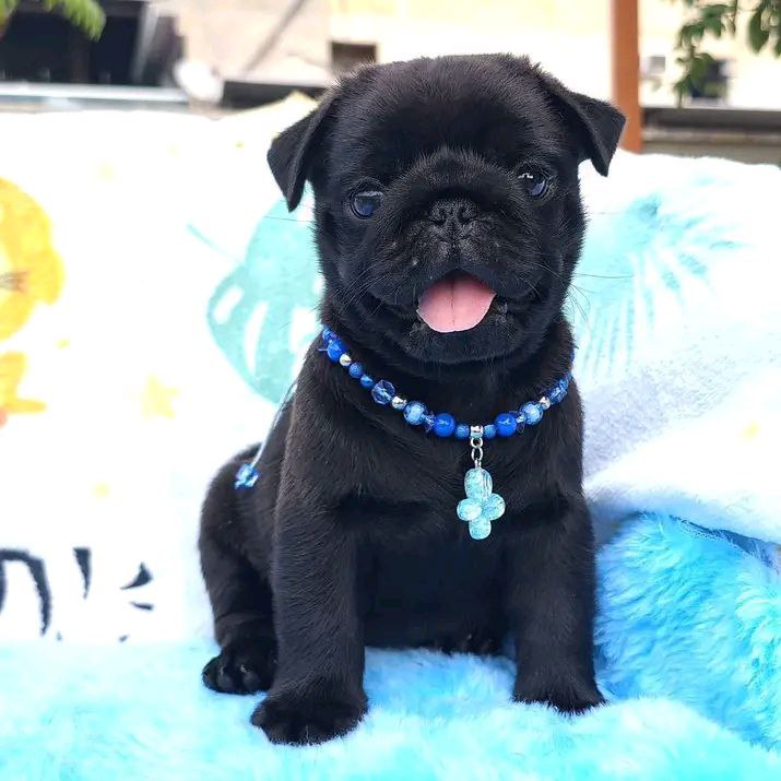 photo 2025 10 06 08 59 41