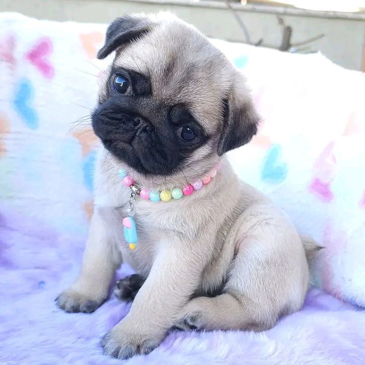 photo 2025 10 06 08 59 46